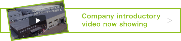 Company introductory video now showing